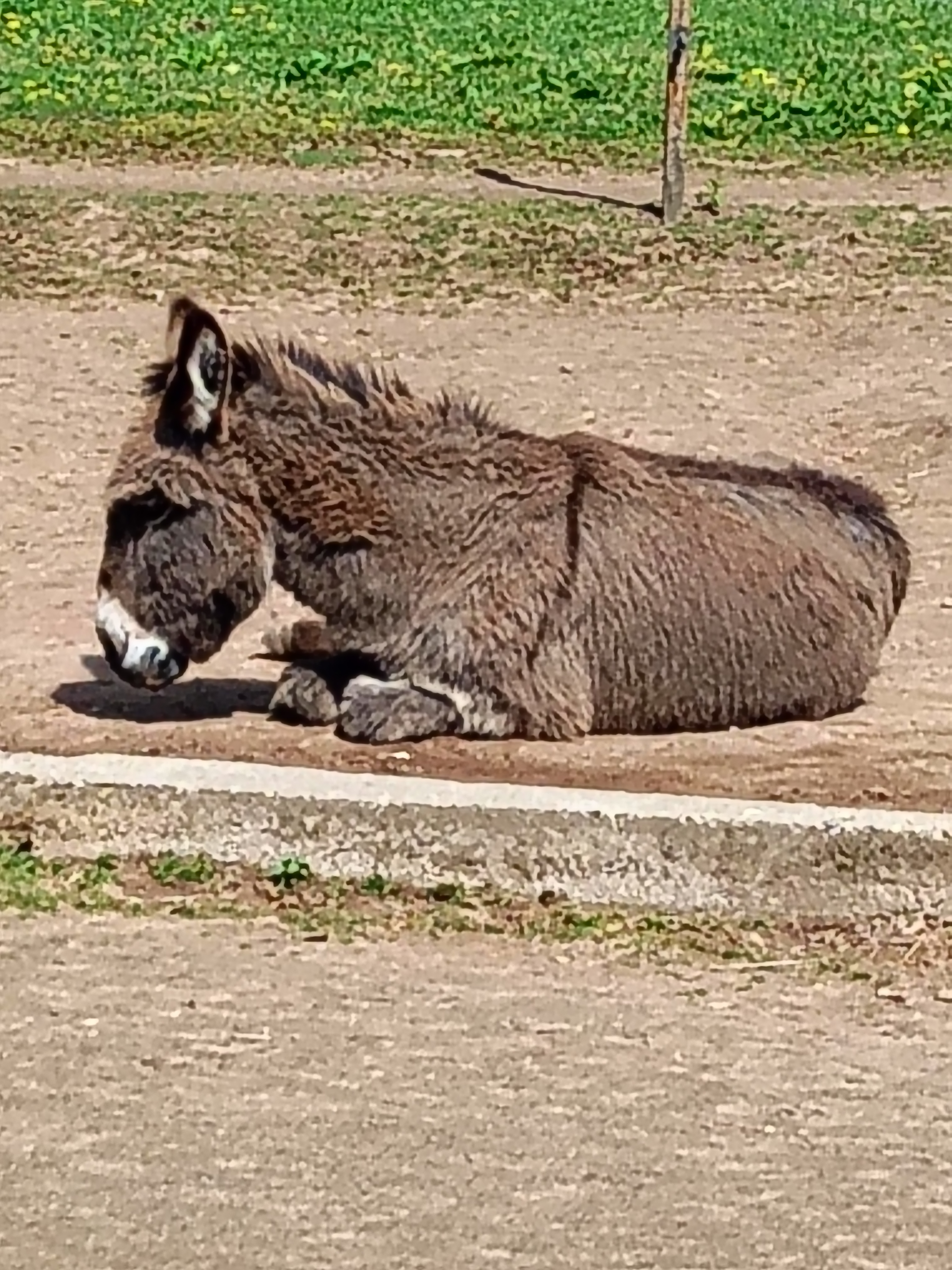 Impression vom 22.04.2025