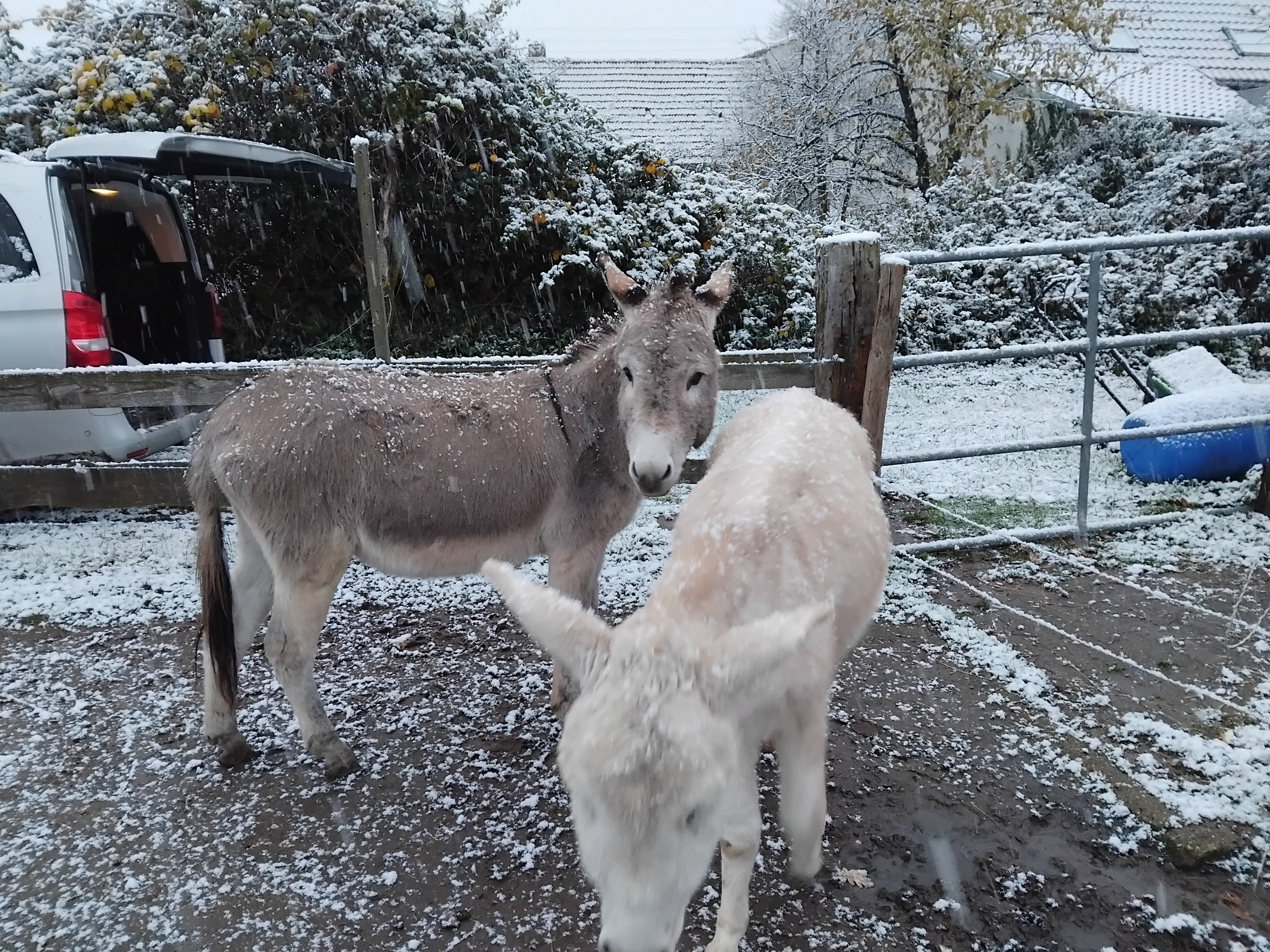 Impression vom 21.11.2025